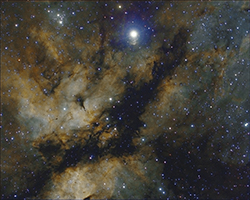 Région de l'étoile Sadr dans le cygne. SHO, Atik460ex-Ts80/480. 15x300s Ha Bin1, 20x150s en SII et OIII Bin2, flat offset